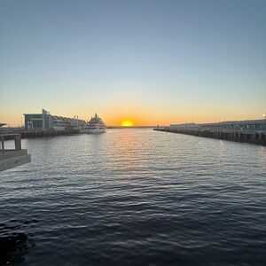 Meet your Posher, Delores